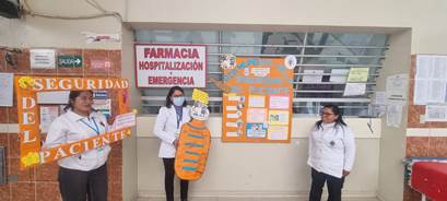 Imagen 13